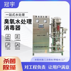 冠宇氧气型臭氧发生器 工业污水脱色除COD 可定制 厂家直销