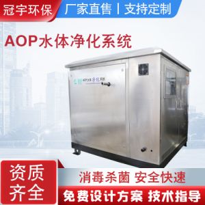 泳池水AOP水体净化设备安全环保羟基自由基发生器