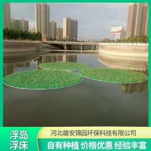 人工生态浮岛 水质净化 水生态治理 河道绿化材料 水生植物浮床