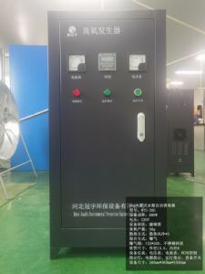 鑫冠宇50g内置式水箱自洁消毒器 碳钢材质 不锈钢曝气桶 运行稳定