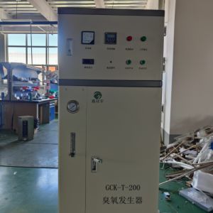 鑫冠宇臭氧发生器GCY-T-400海水养殖鲈鱼循环水的消毒