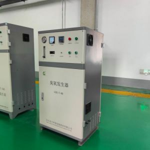 淡水青鱼鲶鱼养殖循环水处理杀毒鑫冠宇臭氧发生器GCY-T-40