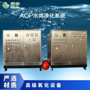 鑫冠宇GY-AOP-20臭氧杀菌设备泳池灭藻5-200g/h